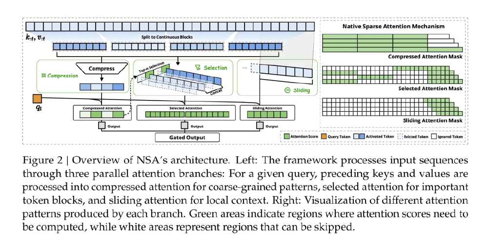 图中展示了Native Sparse Attention（NSA）的架构概述，左侧通过三个并行注意力分支（压缩注意力、选择注意力、滑动注意力）处理输入序列，右侧可视化不同注意力模式的掩码，绿色区域表示需计算注意力分数的区域。
