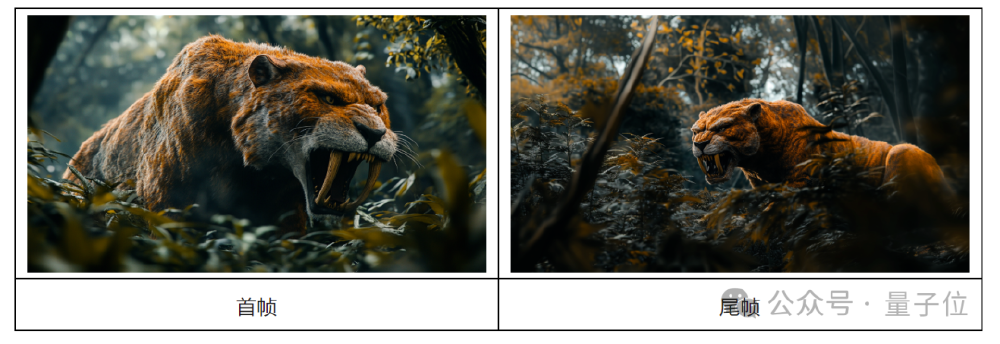 Wan2.1首尾帧生成效果