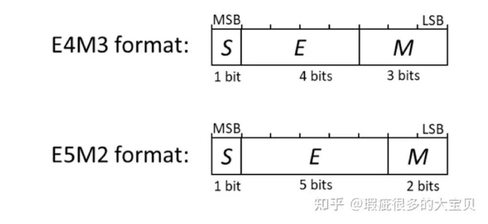 FP8两种位分配格式（E4M3和E5M2）的二进制结构示意图