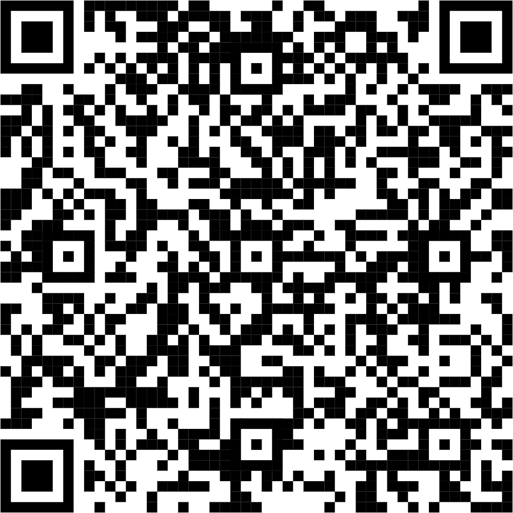 Hunyuan3D-2mini技术架构图