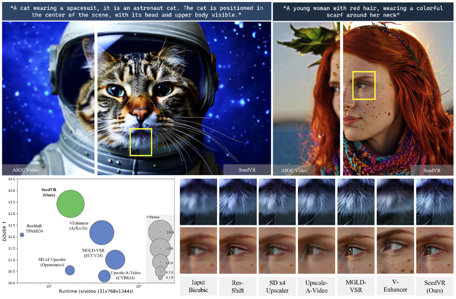 SeedVR修复效果对比