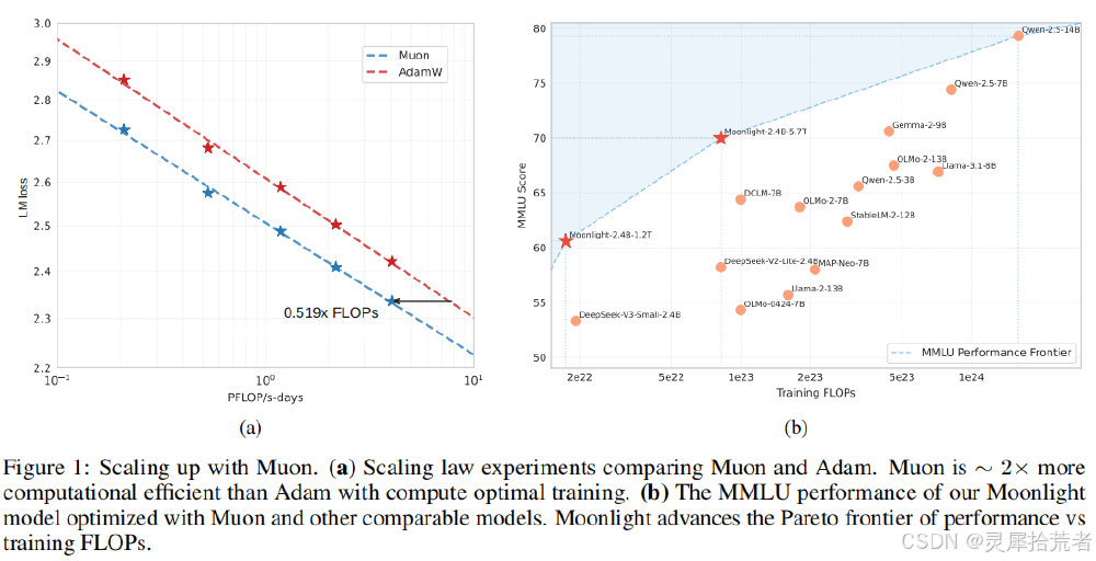 Muon与AdamW优化器性能对比