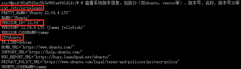 图片展示了在Linux终端中执行cat /etc/os-release命令查看Ubuntu 22.04.4 LTS系统版本信息的输出结果，包含系统名称、版本号等关键信息，属于Hunyuan3D-1部署教程中的环境配置步骤。