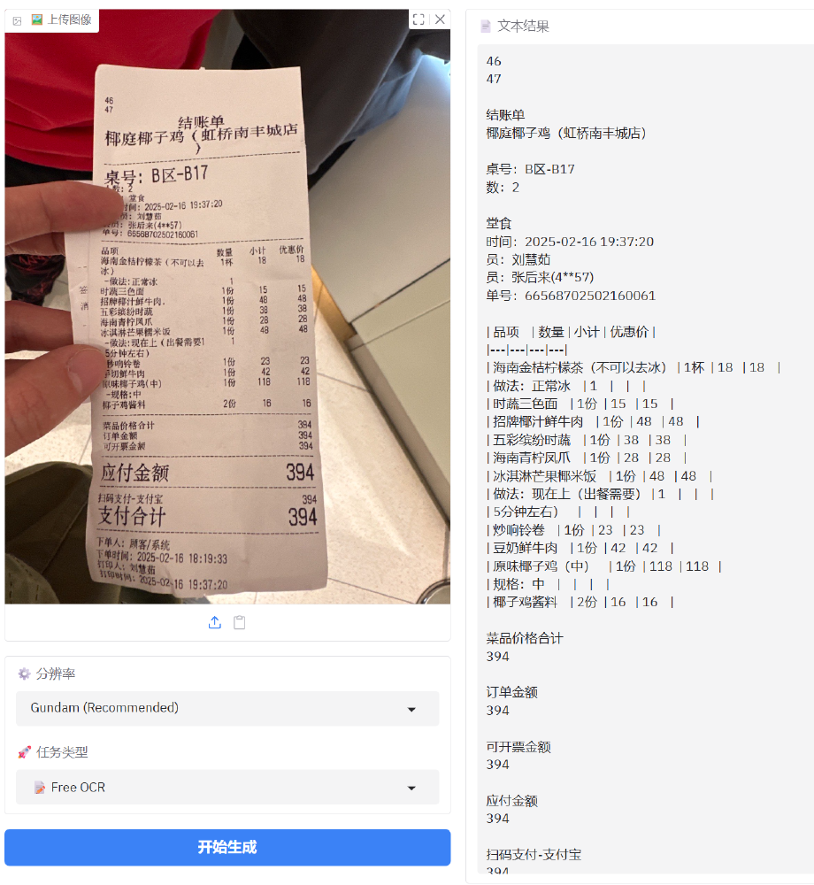 DeepSeek-OCR架构图