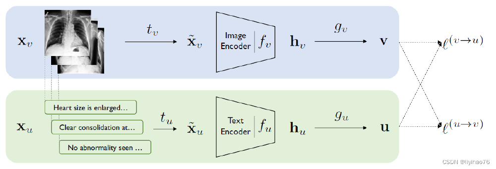 CLIP医学多模态架构