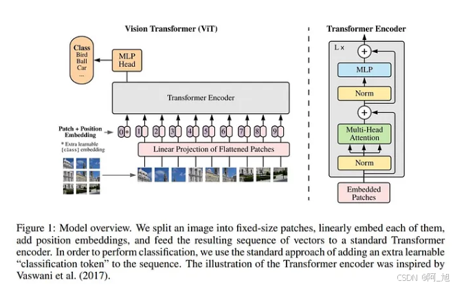 Vision Transformer模型架构图