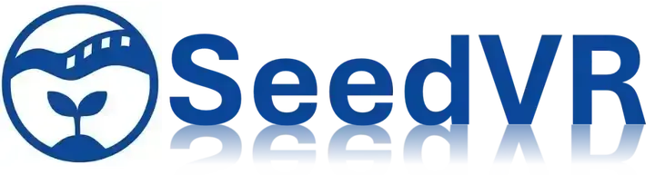 SeedVR2技术架构解析图