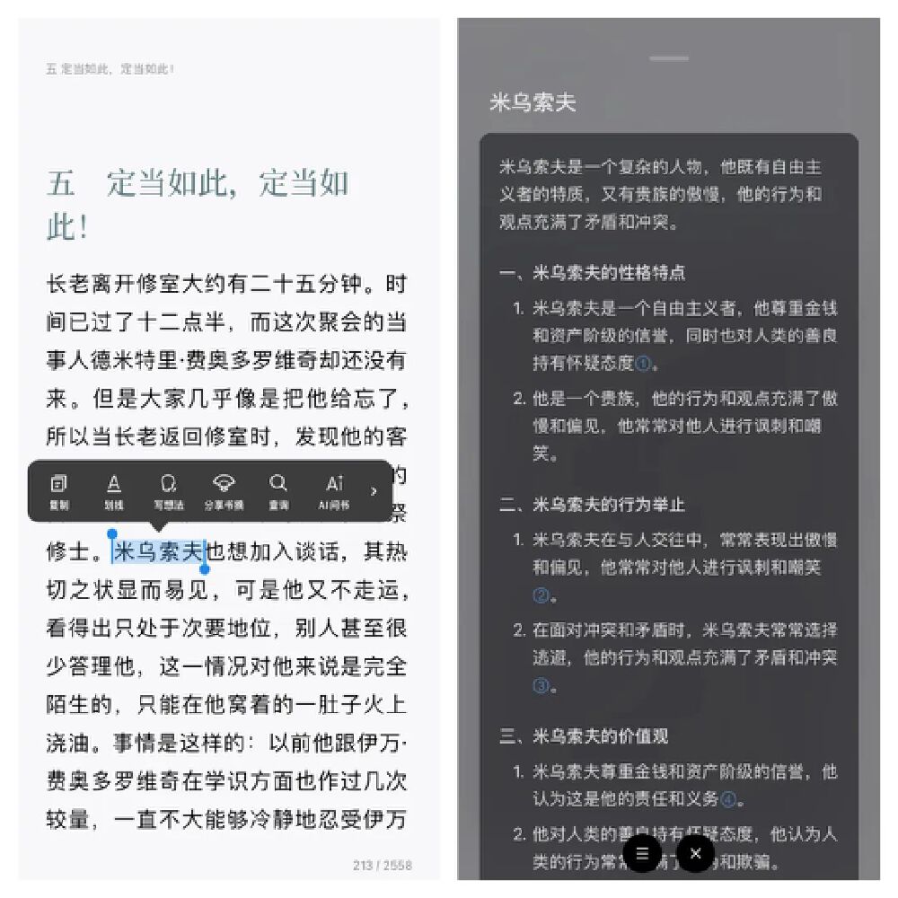 图片展示了AI阅读工具界面，左侧为带‘AI问书’等功能弹窗的文本阅读页面（含页码‘213/2558’），右侧为AI生成的‘米乌索夫’人物分析内容，体现AI辅助文本解读与人物分析的应用场景。