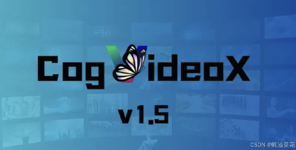 CogVideoX1.5品牌标志