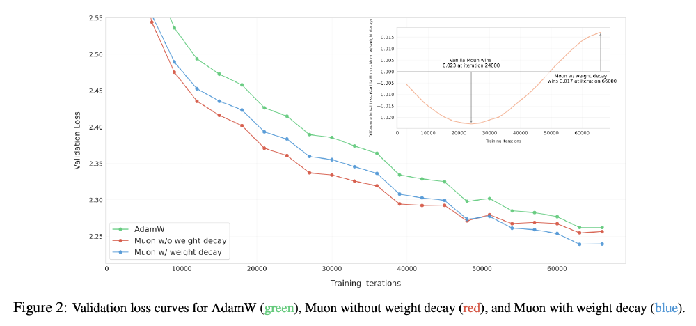 这张折线图对比了AdamW(绿色)、无权重衰减的Muon(红色)和有权重衰减的Muon(蓝色)三种优化方案在训练迭代过程中的验证损失变化,展示了Moonlight-16B采用的Muon优化器结合权重衰减机制的稳定性与效率优势。