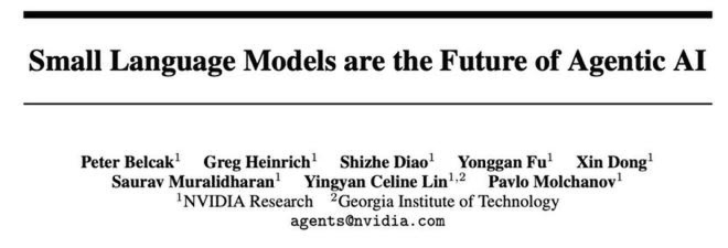 图片展示了某科技研究团队发表的学术论文标题页，标题为“Small Language Models are the Future of Agentic AI”，列出作者及所属机构（某研究实验室和某技术学院），表明小语言模型在AI智能体系统中的研究方向。