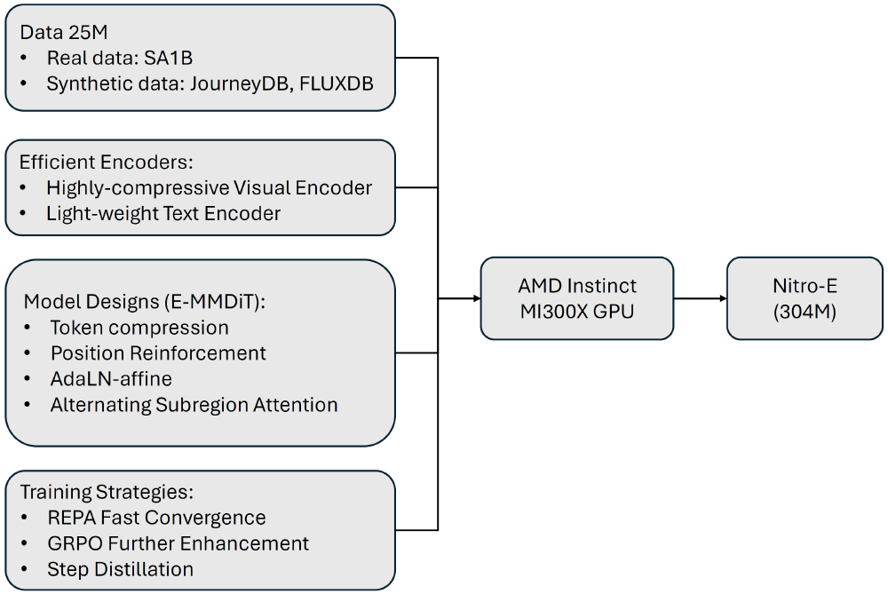 Nitro-E模型架构流程图