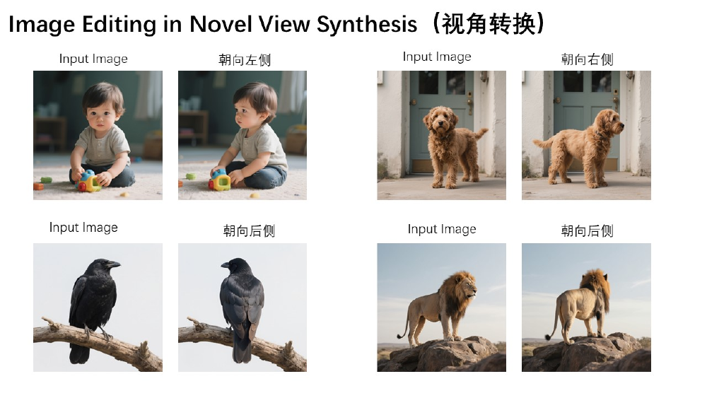 Qwen-Image-Edit-Rapid-AIO电商海报案例