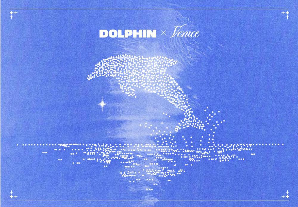 Dolphin与Venice.ai合作品牌标识