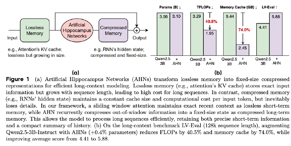 AHN架构与自蒸馏训练框架