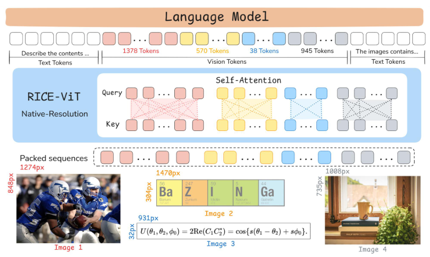LLaVA-OneVision-1.5架构示意图