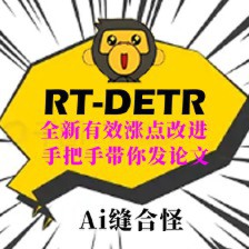 RT-DETR与YOLOv11性能对比