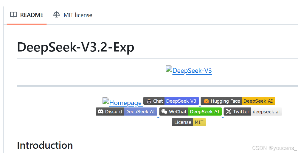 DeepSeek-V3.2-Exp开源生态