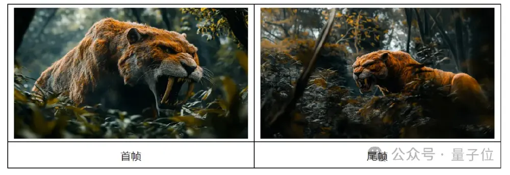 通义万相Wan2.1首尾帧视频模型的首帧与尾帧示例，左侧为剑齿虎首帧，右侧为尾帧，展示模型生成视频的前后帧输入对比。
