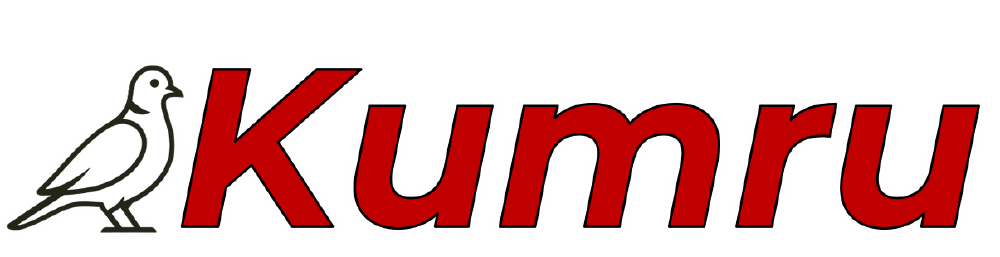 Kumru-2B品牌标识