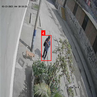 YOLO11家庭安防检测实例