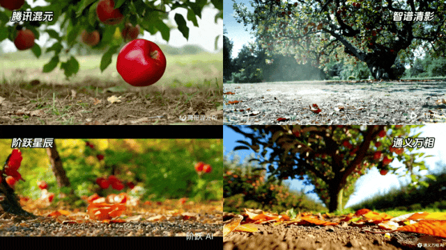 四个开源AI视频模型生成的苹果掉落场景对比