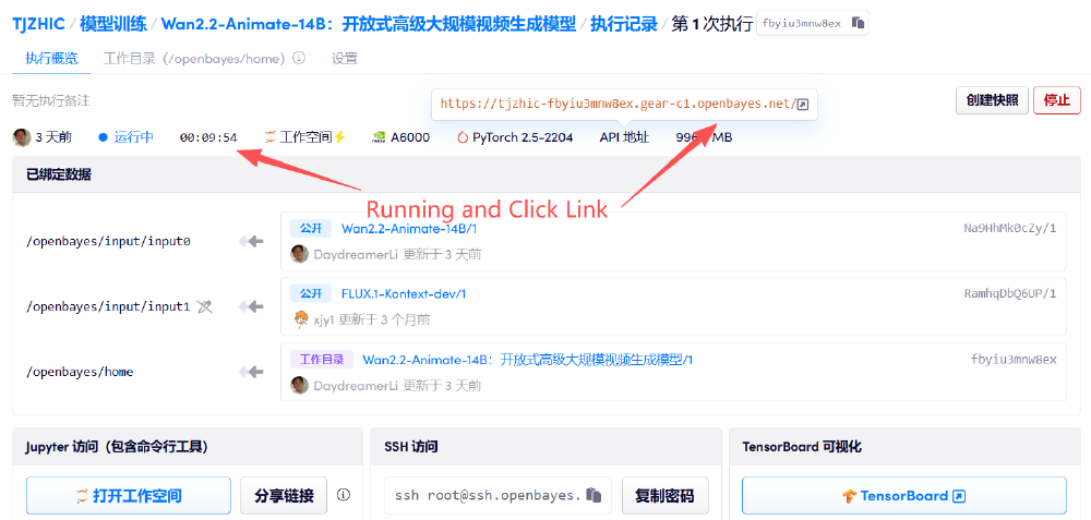 Wan2.2-Animate模型训练执行记录界面