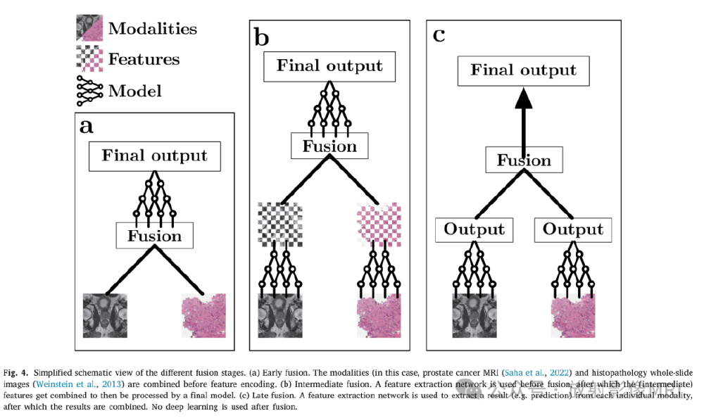 Kimi-VL多模态数据融合架构示意图